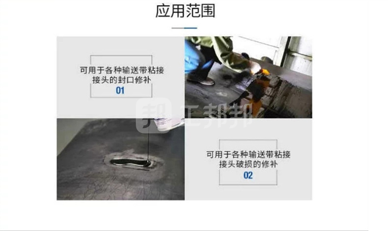 澳门今晚上开什么